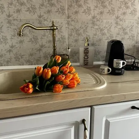 Clujstays Venus Near Iulius Mall 아파트